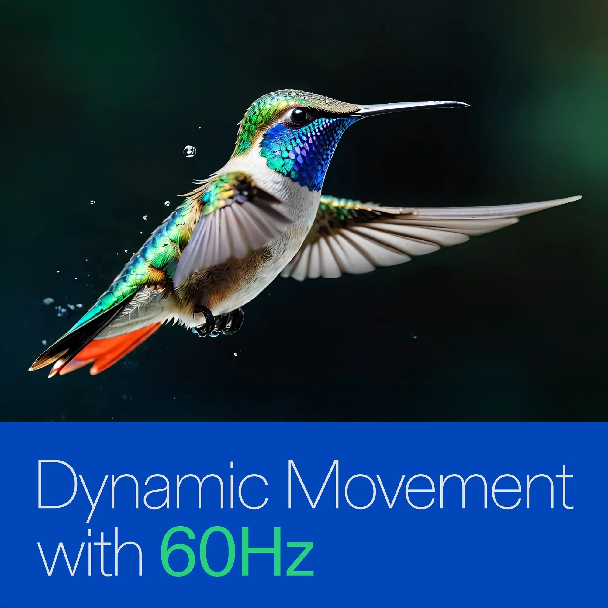 70” Class 4K UHD Roku Smart Television, 100012588