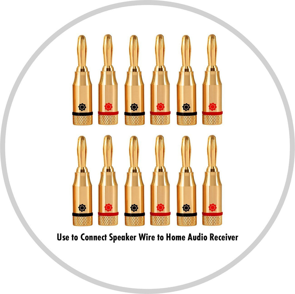 12 Gauge Speaker Wire with 12 Banana Plugs (100Ft) - 99.9% Pure Copper - True Spec and Touch Cable